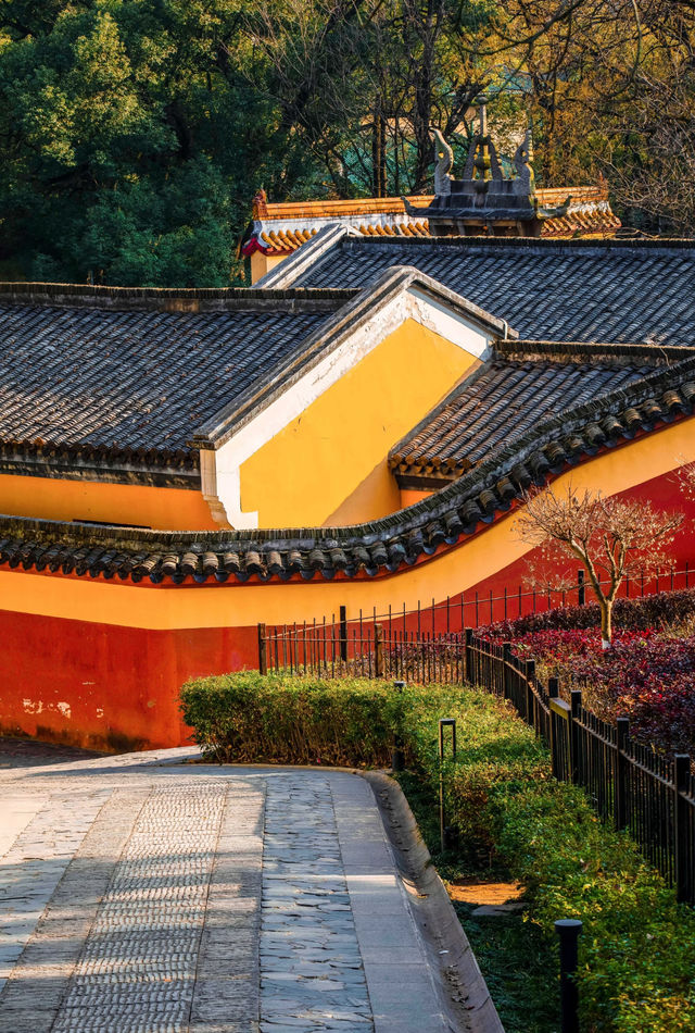 嶽麓書院旁秘徑！長沙秋日打卡天花板