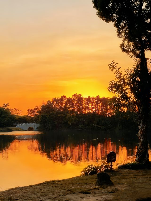 先喊一句:揭陽西湖你還有多少驚喜是我們不知道的! 先喊一句:揭陽西湖你還有多少驚喜是我們不知道的!