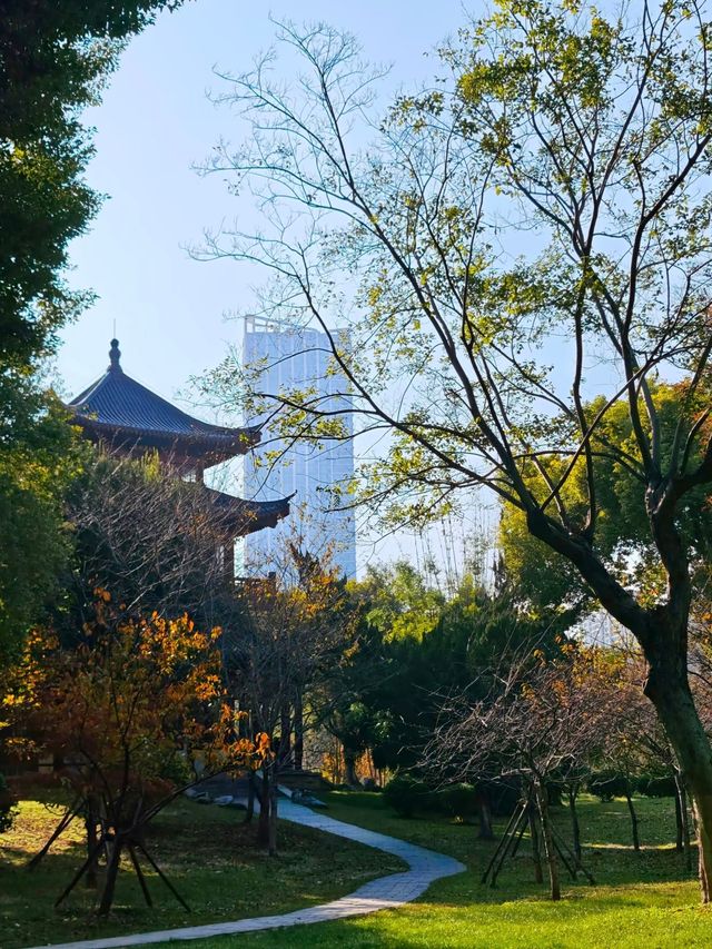 武漢人的私藏拍照聖地堤角公園邂逅初冬浪漫
