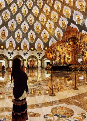 有求必應,帶你看世界!