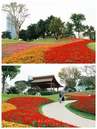 深圳地鐵直達的彩虹花海!這個公園太寶藏
