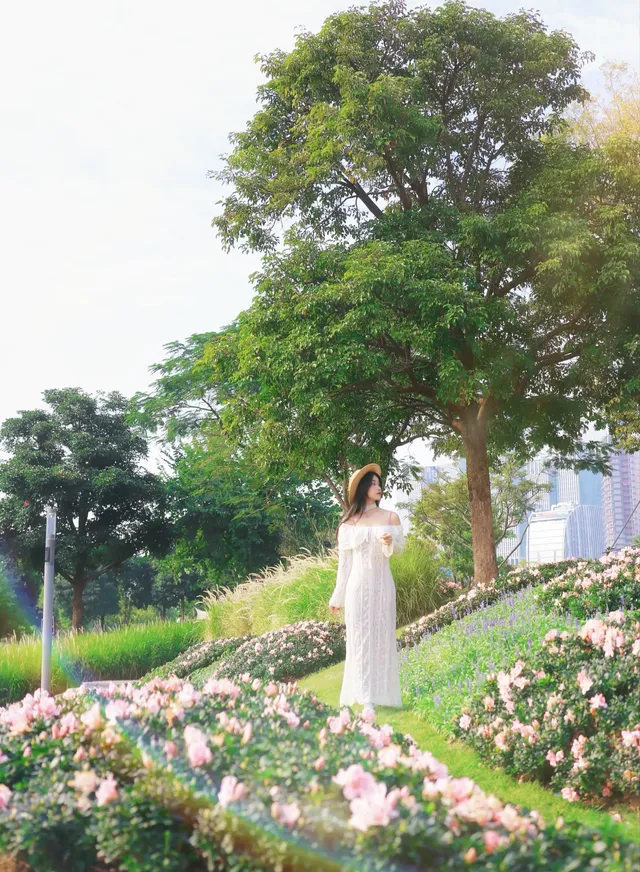 深圳地鐵直達的彩虹花海!這個公園太寶藏 深圳地鐵直達的彩虹花海!這個公園太寶藏