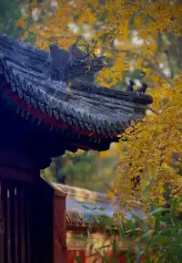秋日國清寺:在千年古剎尋一份靜謐
