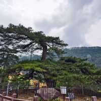 【三天兩晚九華山禪意之旅】1800元朝聖蓮花佛國！雲海古寺+肉身菩薩深度攻略行程亮點： 核