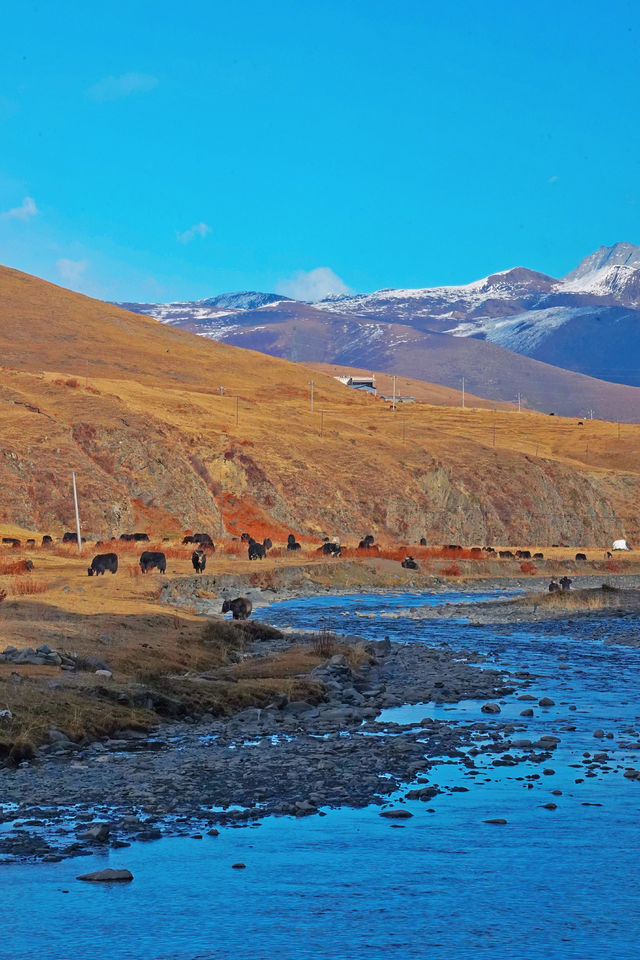 壯美雪山秘境打卡姑弄村的半日悠閒 壯美雪山秘境打卡姑弄村的半日悠閒