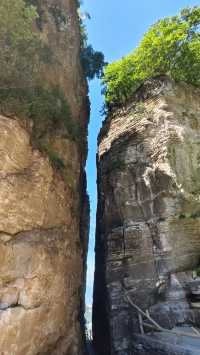 逃離城市計劃：我在保定白石山，找到了宮崎駿漫畫裡的夏天