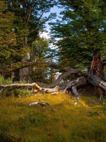 แผนการเดินทาง 25 วันในฤดูใบไม้ร่วงที่รวมถึงอาร์เจนตินาและประเทศอื่นๆ