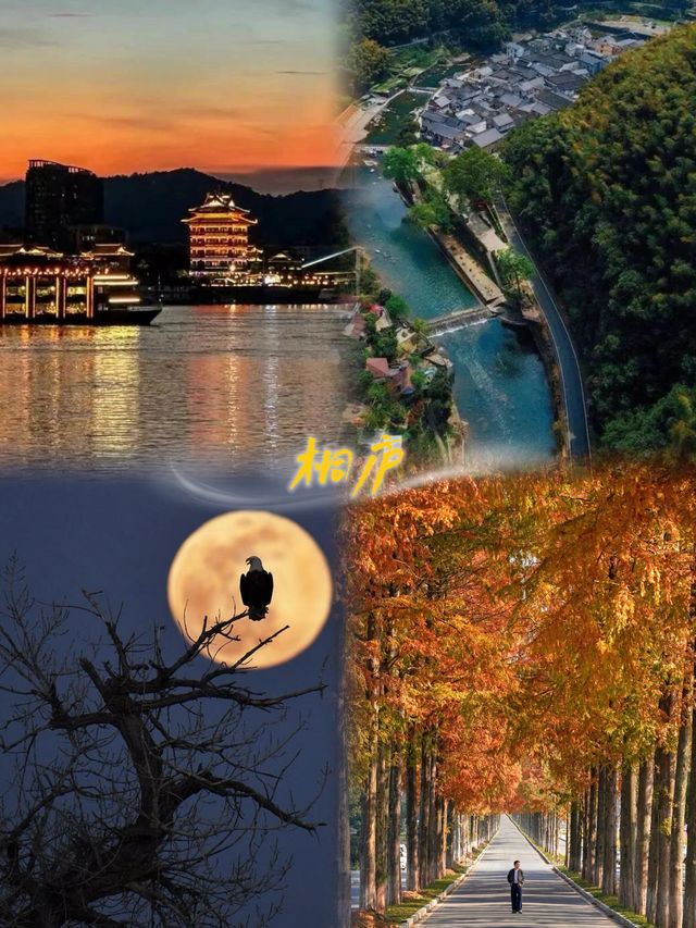 秋冬桐廬,邂逅山野詩畫 秋冬桐廬,邂逅山野詩畫