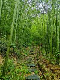 藏在城市裡的煙火秘境