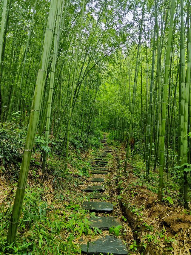 藏在城市裡的煙火秘境