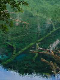 九寨溝歸來不看水,這裡的秋天美到詞窮!