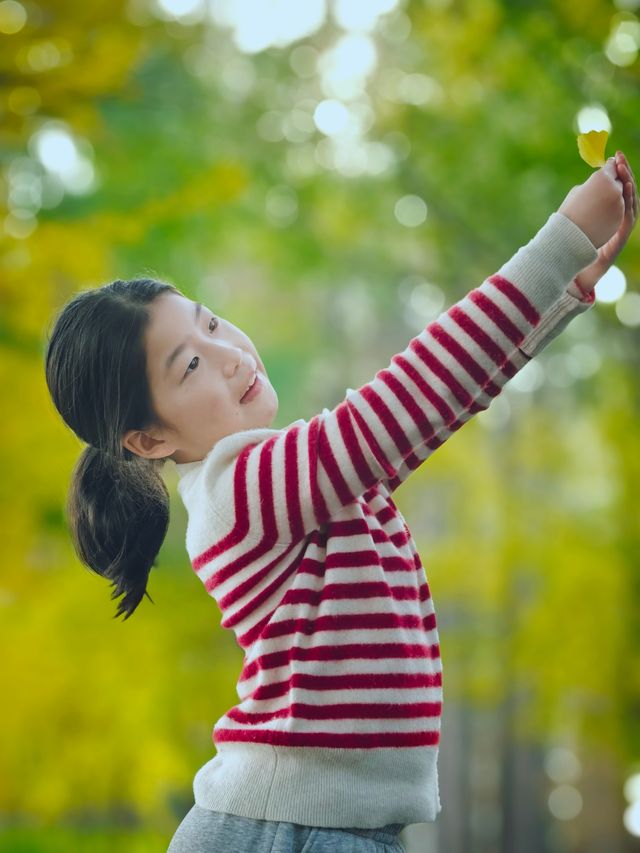 崇明島明珠湖｜秋日私藏的金色童話秘境！