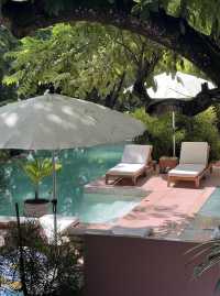 房間很大，酒店很小｜住進西雙版納的熱帶雨林裡度假