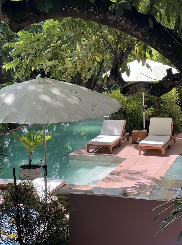 房間很大，酒店很小｜住進西雙版納的熱帶雨林裡度假