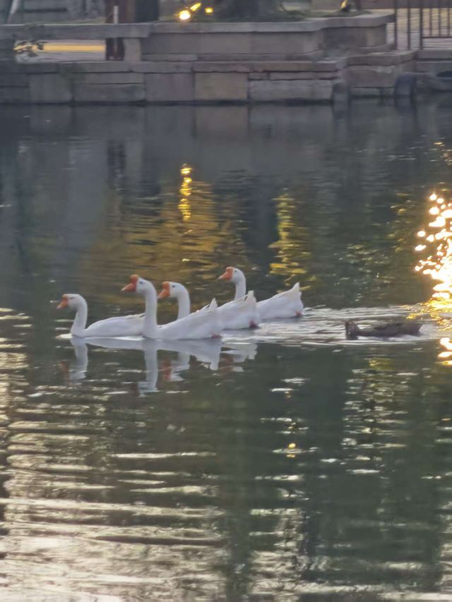 在古城的留白裡,聽見潮聲與童聲 在古城的留白裡,聽見潮聲與童聲