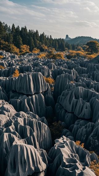 Yibin Three-Day Travel Guide