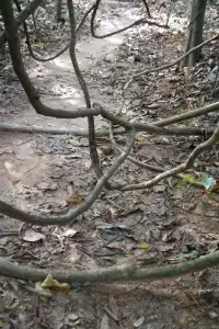 慢行吳哥 深入柬埔寨