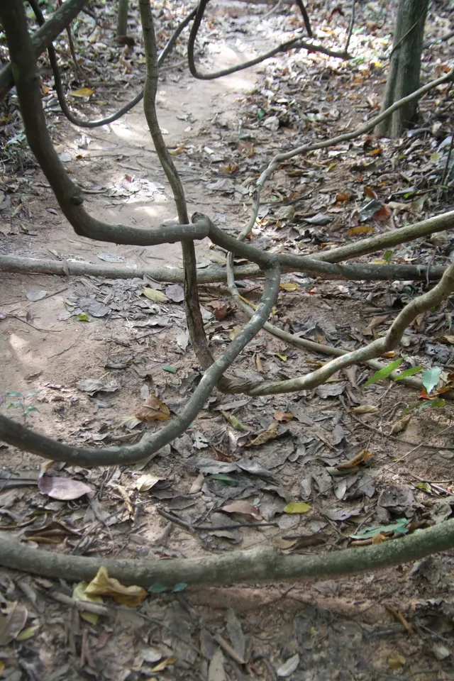 慢行吳哥 深入柬埔寨 慢行吳哥 深入柬埔寨