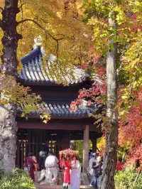 天平山‖我宣布我找的機位拍得最好看~