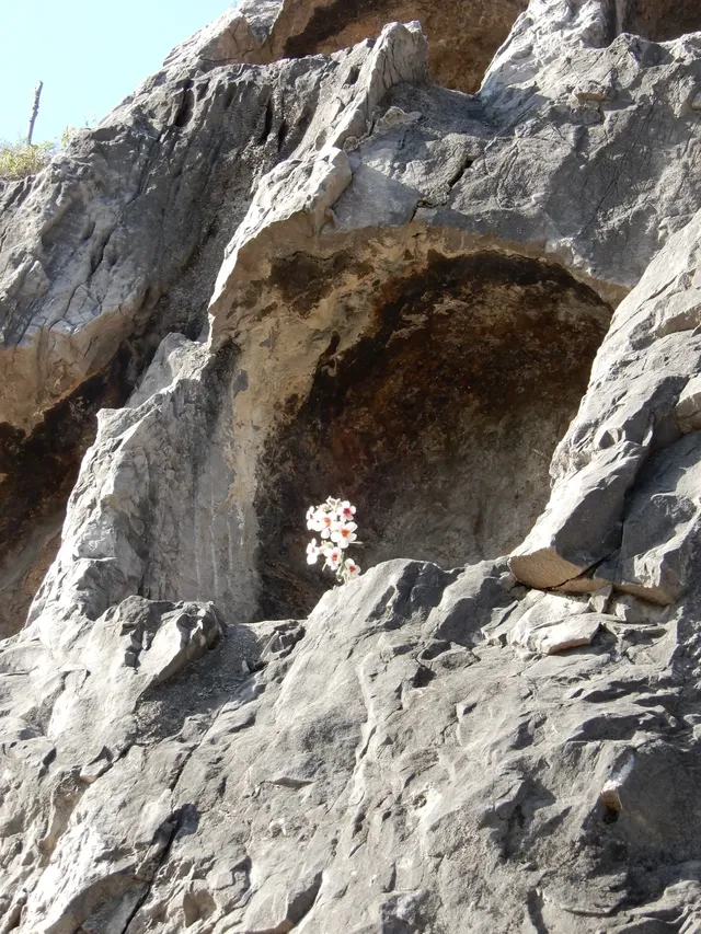 關於洛陽行-2天半 關於洛陽行-2天半