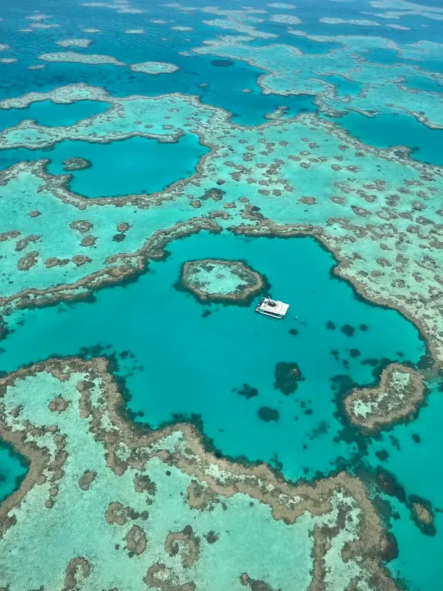 為了這10張圖 願意去100次昆士蘭