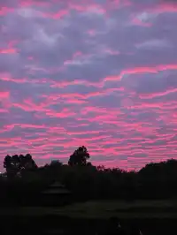 青秀山最近超火的,不愧是5A景區殺瘋了