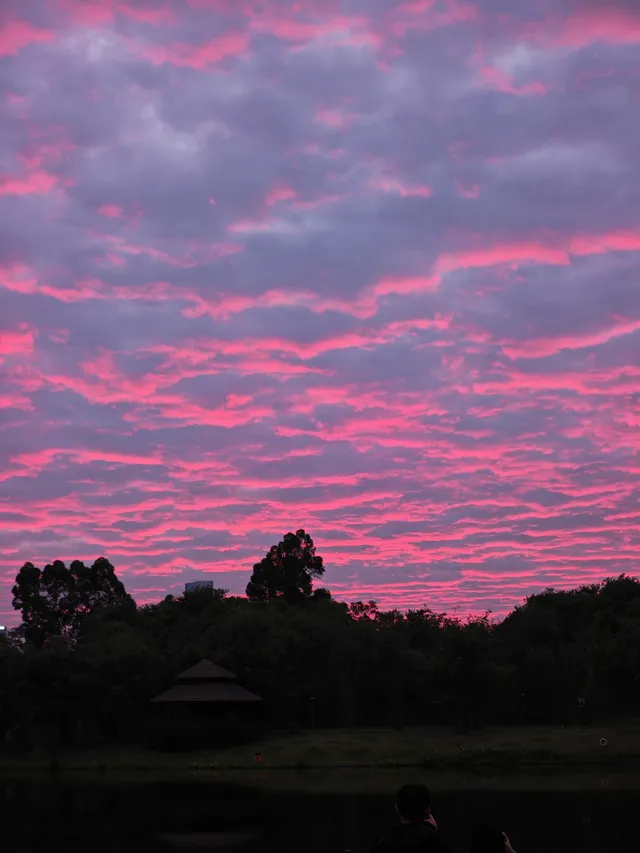 青秀山最近超火的,不愧是5A景區殺瘋了 青秀山最近超火的,不愧是5A景區殺瘋了