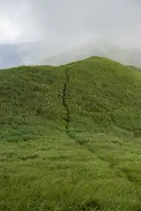 你問我什麼是自由?是七月底的武功山