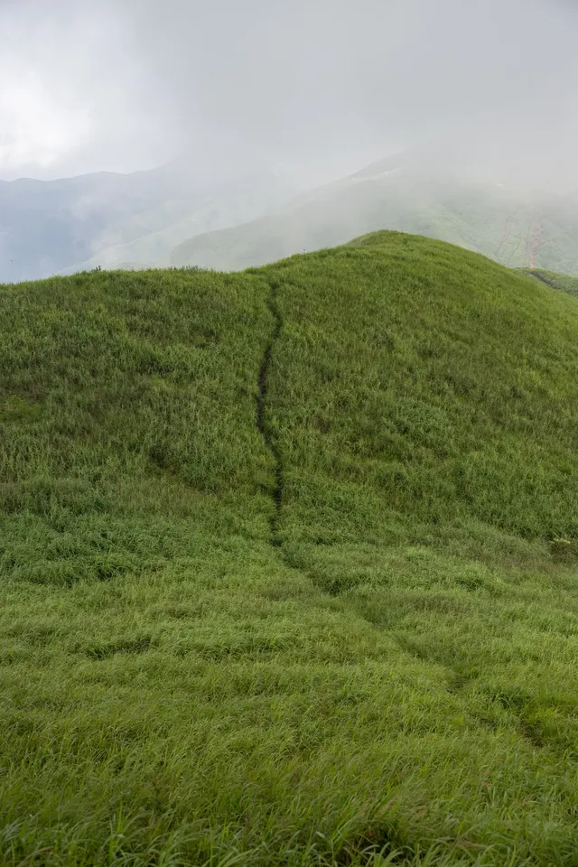 你問我什麼是自由?是七月底的武功山 你問我什麼是自由?是七月底的武功山