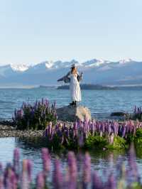 新西蘭必看小團|9天中文司導帶玩南北島