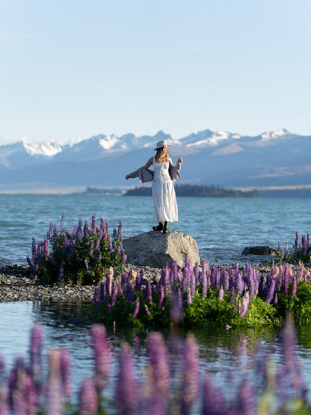 新西蘭必看小團|9天中文司導帶玩南北島