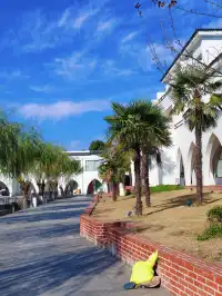 娃在加順農場當農夫，我在芷嵐秋看湖光發呆