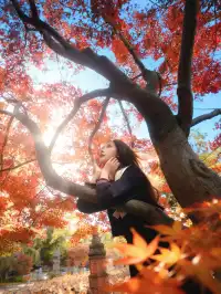 紅楓JK拍照丨不用長焦!超廣角才有生命力