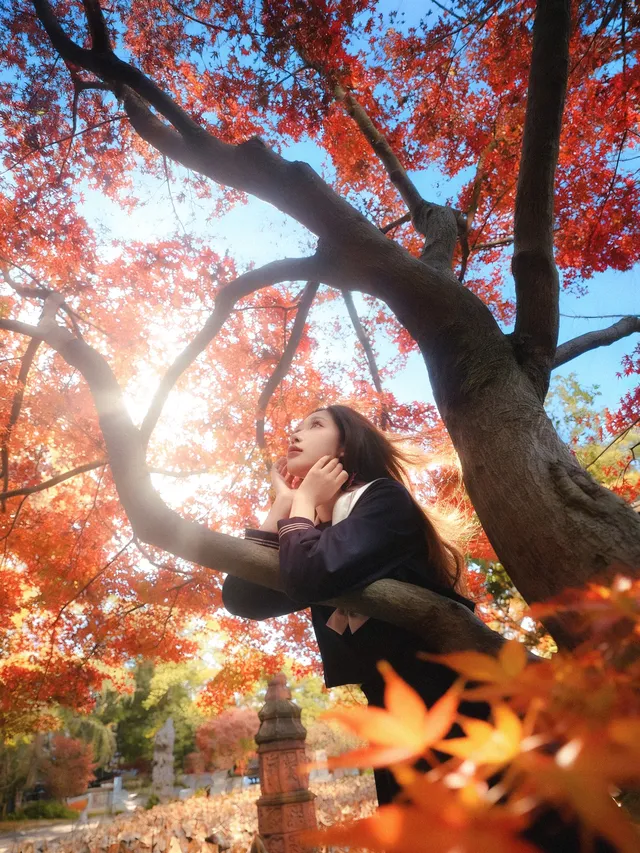 紅楓JK拍照丨不用長焦!超廣角才有生命力 紅楓JK拍照丨不用長焦!超廣角才有生命力