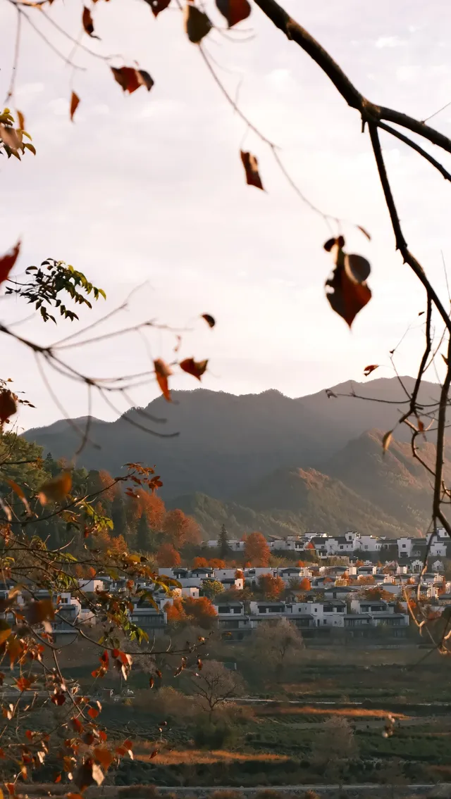 南京周邊遊——皖南的秋