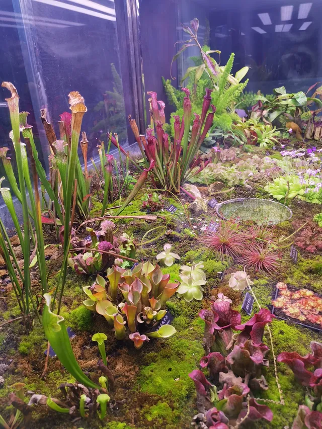 超值的!版納中科院植物園強推 超值的!版納中科院植物園強推