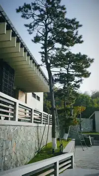 用雨過天青雲破處來描摹的宋之色