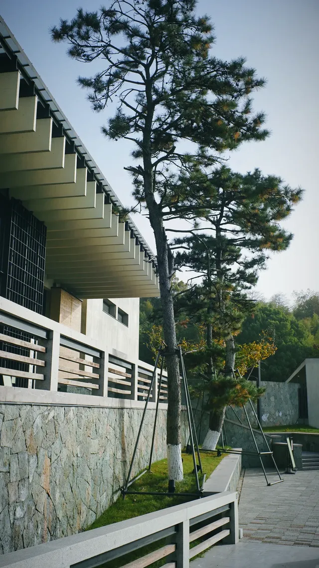 用雨過天青雲破處來描摹的宋之色