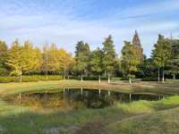 南京綠博園秋日限定藏在城市的絕美秘境