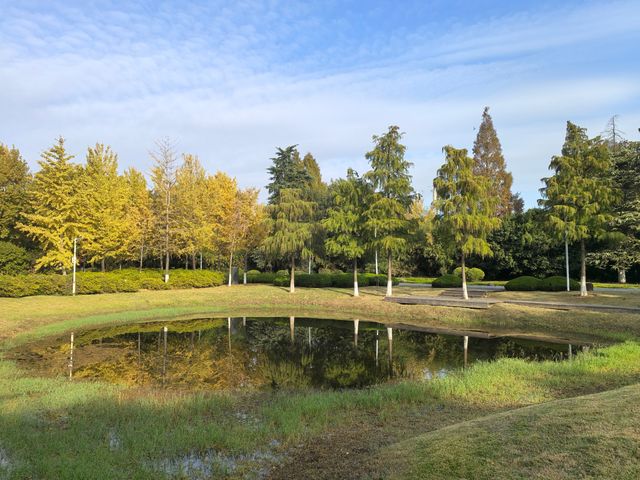 南京綠博園秋日限定藏在城市的絕美秘境 南京綠博園秋日限定藏在城市的絕美秘境