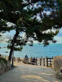 青島citywalk神仙路線人少景美巨出片！