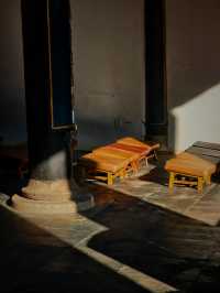 上海小眾銀杏秘境攻略