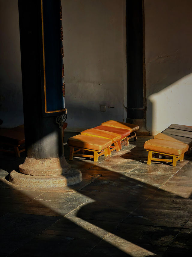 上海小眾銀杏秘境攻略 上海小眾銀杏秘境攻略