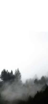 河南5天4夜獨行俠攻略,一個人也可以看盡山川雲海,吃遍中原美食! 行程亮點: • 雲霧繚繞的老