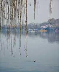 冬日玄武湖的浪漫太絕了!陽光灑滿湖面美到窒息