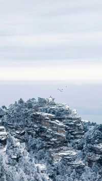 都在吹廬山雪景治癒?我想說:別太當真!