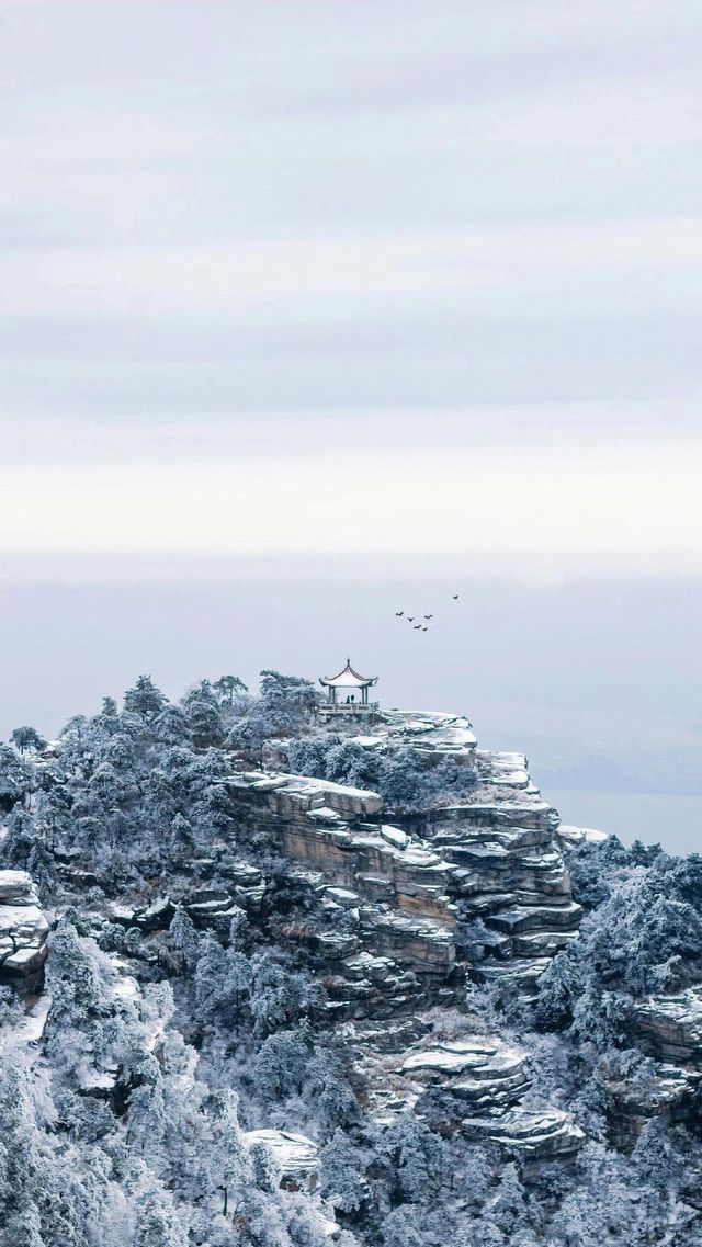 都在吹廬山雪景治癒?我想說:別太當真! 都在吹廬山雪景治癒?我想說:別太當真!