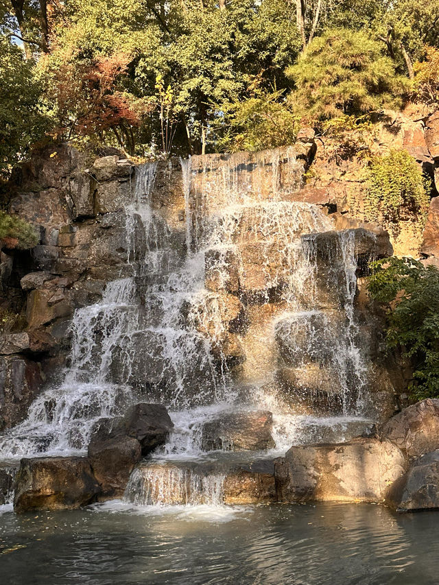 不誇張!本週上海最美的賞秋路線 不誇張!本週上海最美的賞秋路線