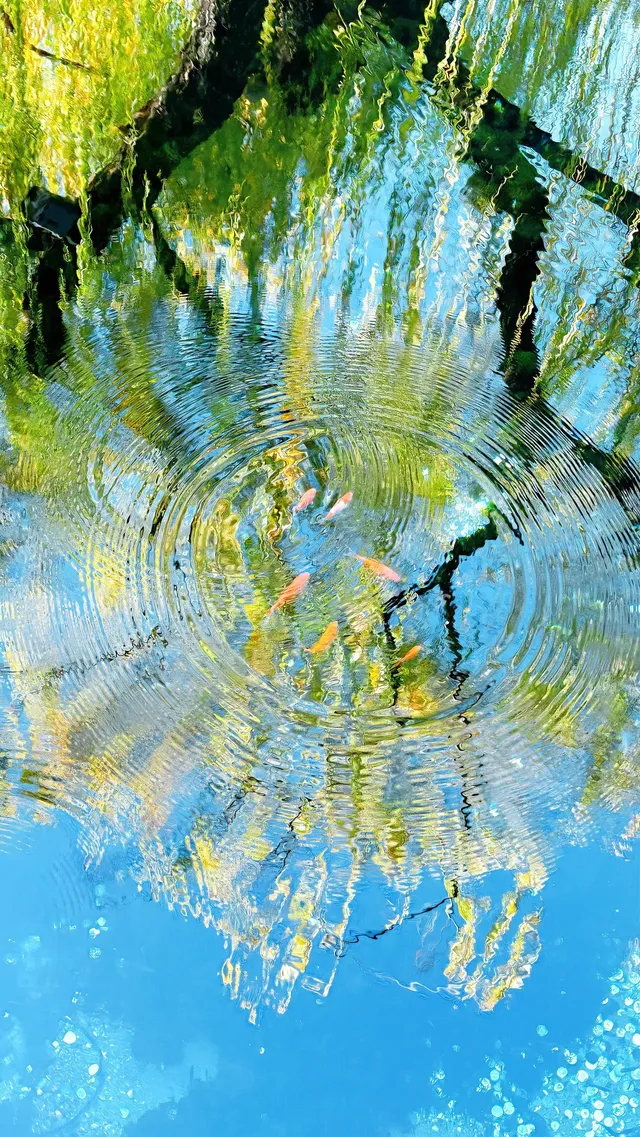 傳說中的“琉璃海”，我在濟南找到了！