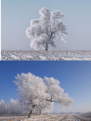 길림 라이트 럭셔리 상빙수 여행 3일간 빗나가지 않는 완벽 추적!
